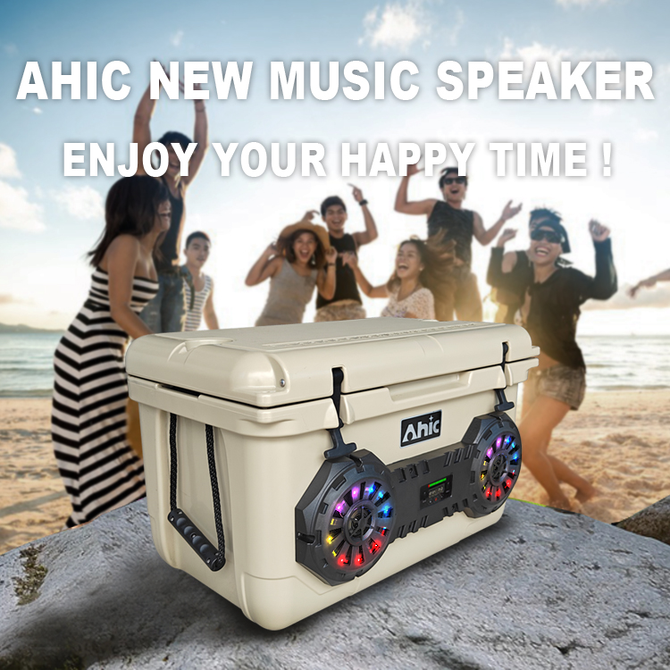 45L Tragbare Rotationsgeformte – Speakers Bewertung und Preis