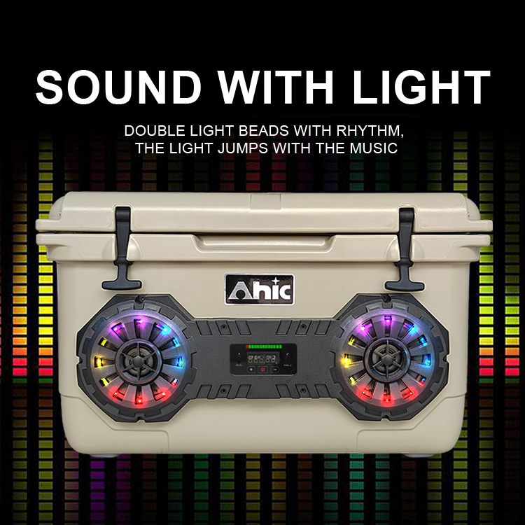 45L Tragbare Rotationsgeformte – Speakers Bewertung und Preis