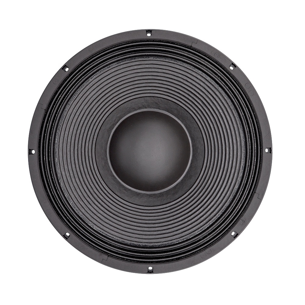 21'' Professionelles Audiosyst – Speakers Bewertung und Preis