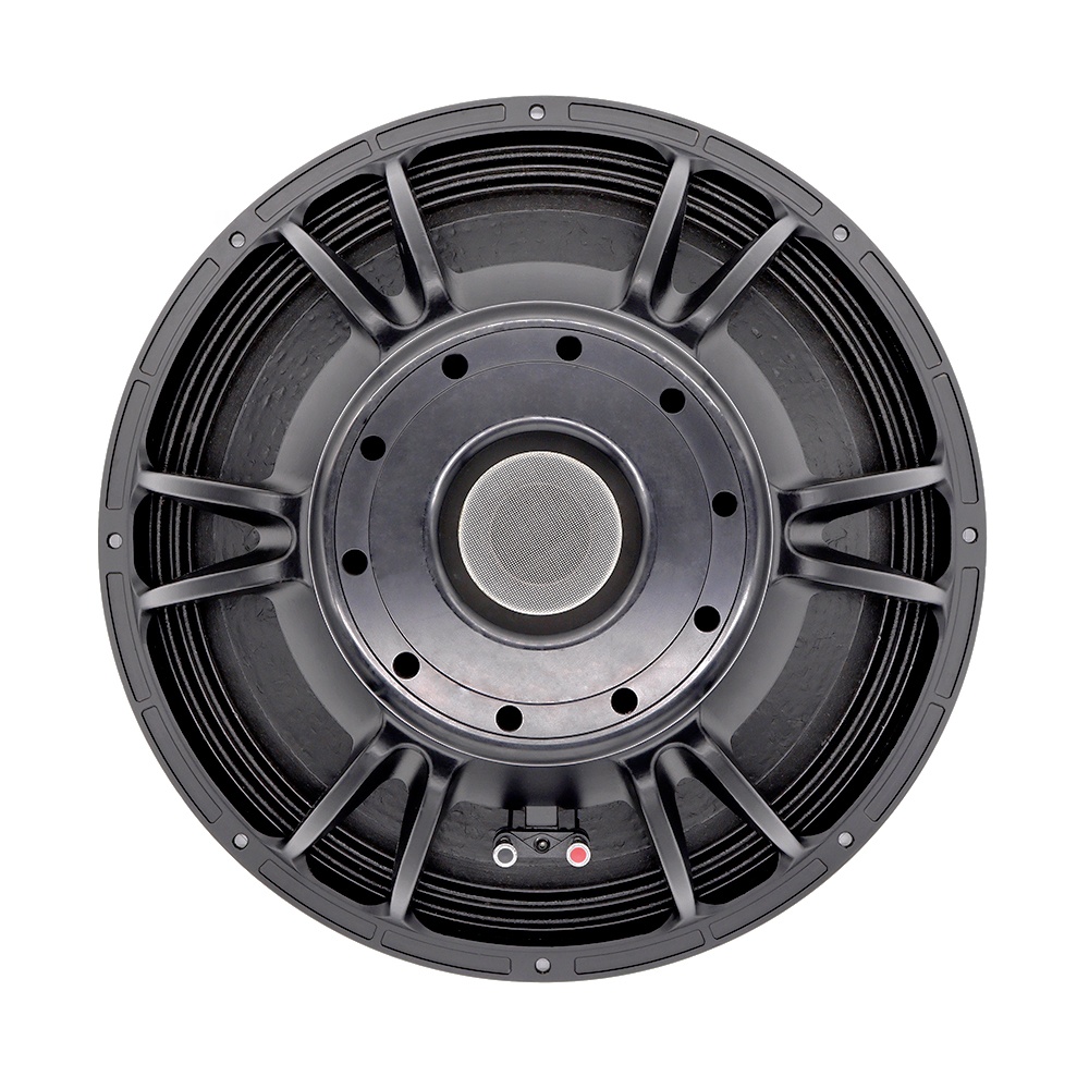 21'' Professionelles Audiosyst – Speakers Bewertung und Preis
