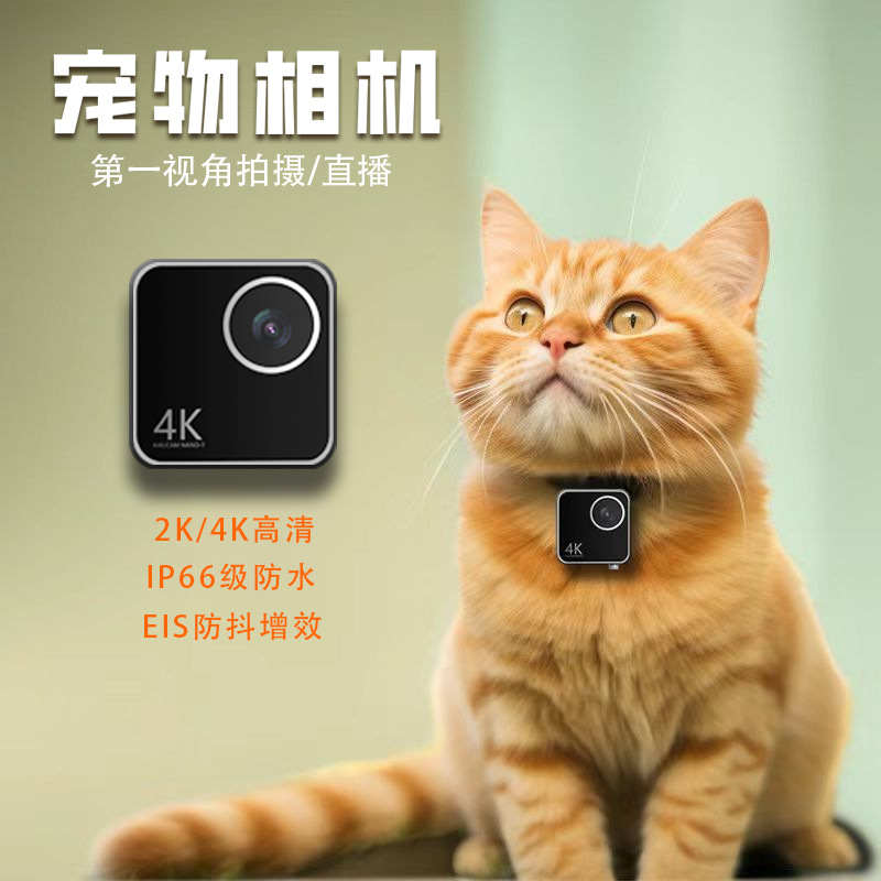 Tierkamera für Katzen und Hund – Cameras Bewertung und Preis
