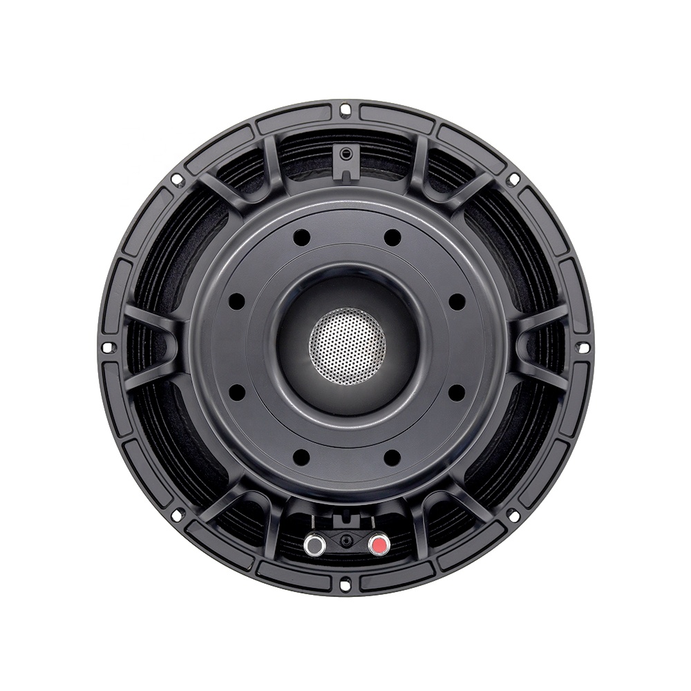 12DS Pro Audio Equipment 12''  – Speakers Bewertung und Preis